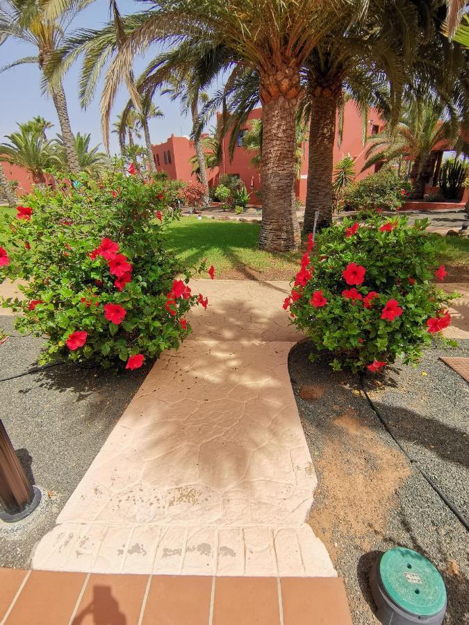 Appartamento Spagnolo Oasis Tamarindo كوراليهو المظهر الخارجي الصورة