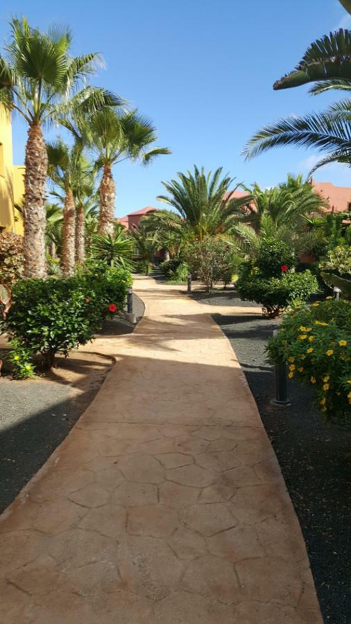 Appartamento Spagnolo Oasis Tamarindo كوراليهو المظهر الخارجي الصورة